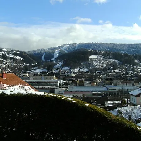 Les 4 Saisons Apartment Gerardmer